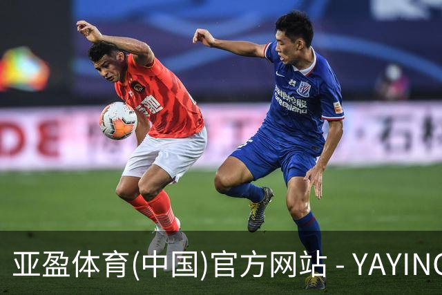 亚盈体育(中国)官方网站 - YAYING SPORTS公司简介